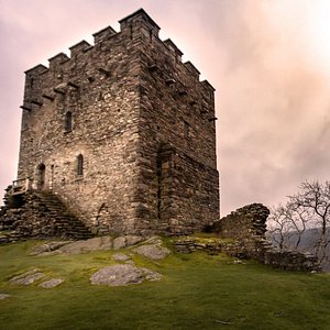 TravellerWho